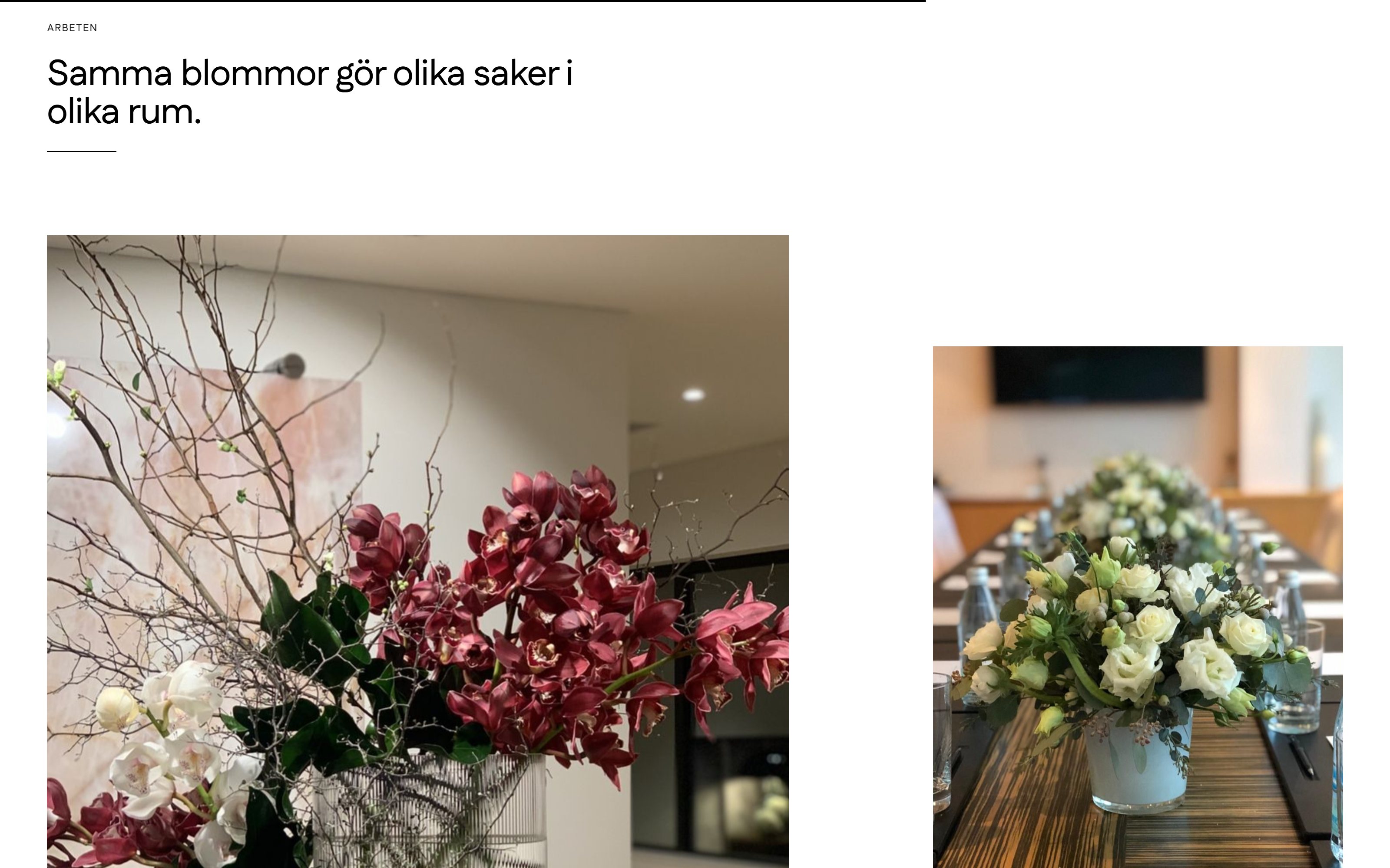 Aster&Smilla — 5